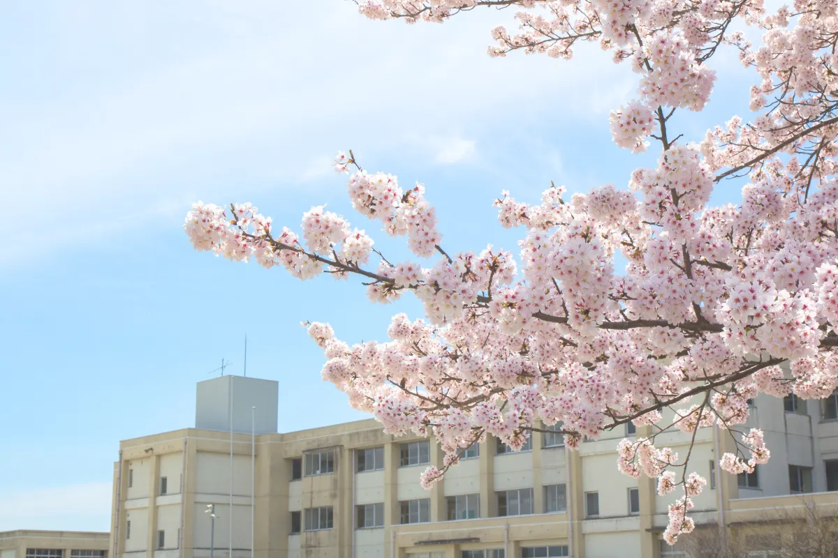 四月、はじまりを感じる日