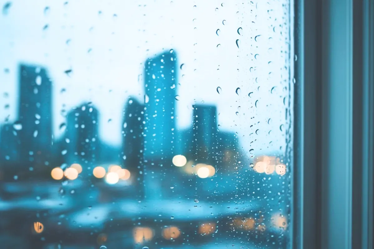 雨があがっただけで、うれしかった